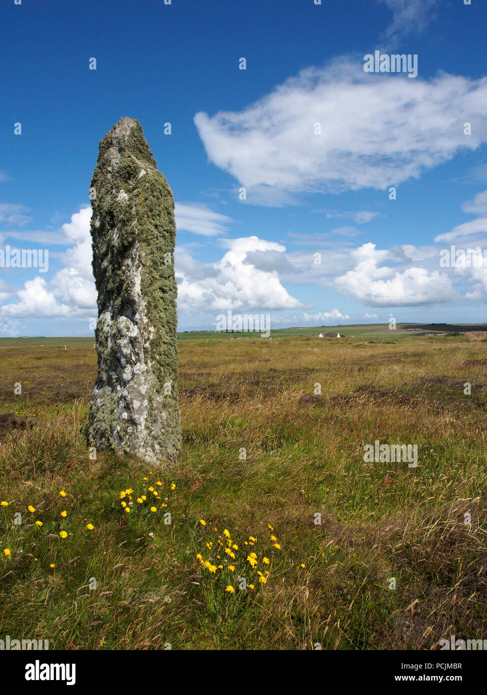 Mor stein standing stone, Shapinsay Isla, Orkney Banque D'Images