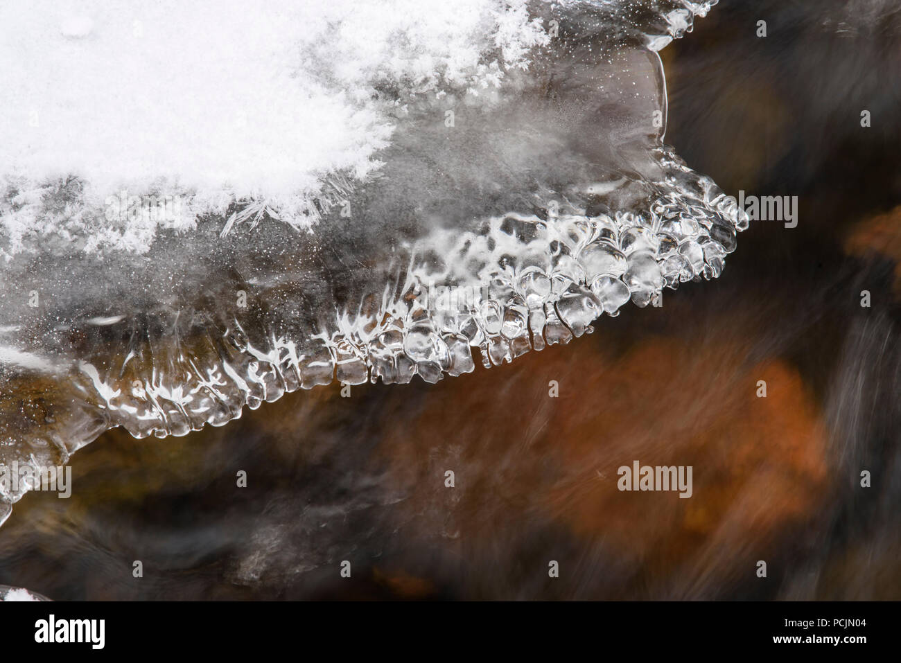 Formations de glace et l'eau courante dans Costello Creek en hiver, Algonquin Provincial Park, Ontario, Canada Banque D'Images