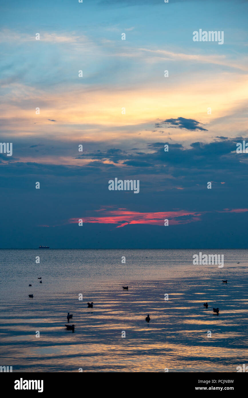 Trieste, Italie, le 2 août 2018. Mouettes apprécier le coucher du soleil sur l'Adriatique à Trieste (Italie). Photo par Enrique Shore Banque D'Images