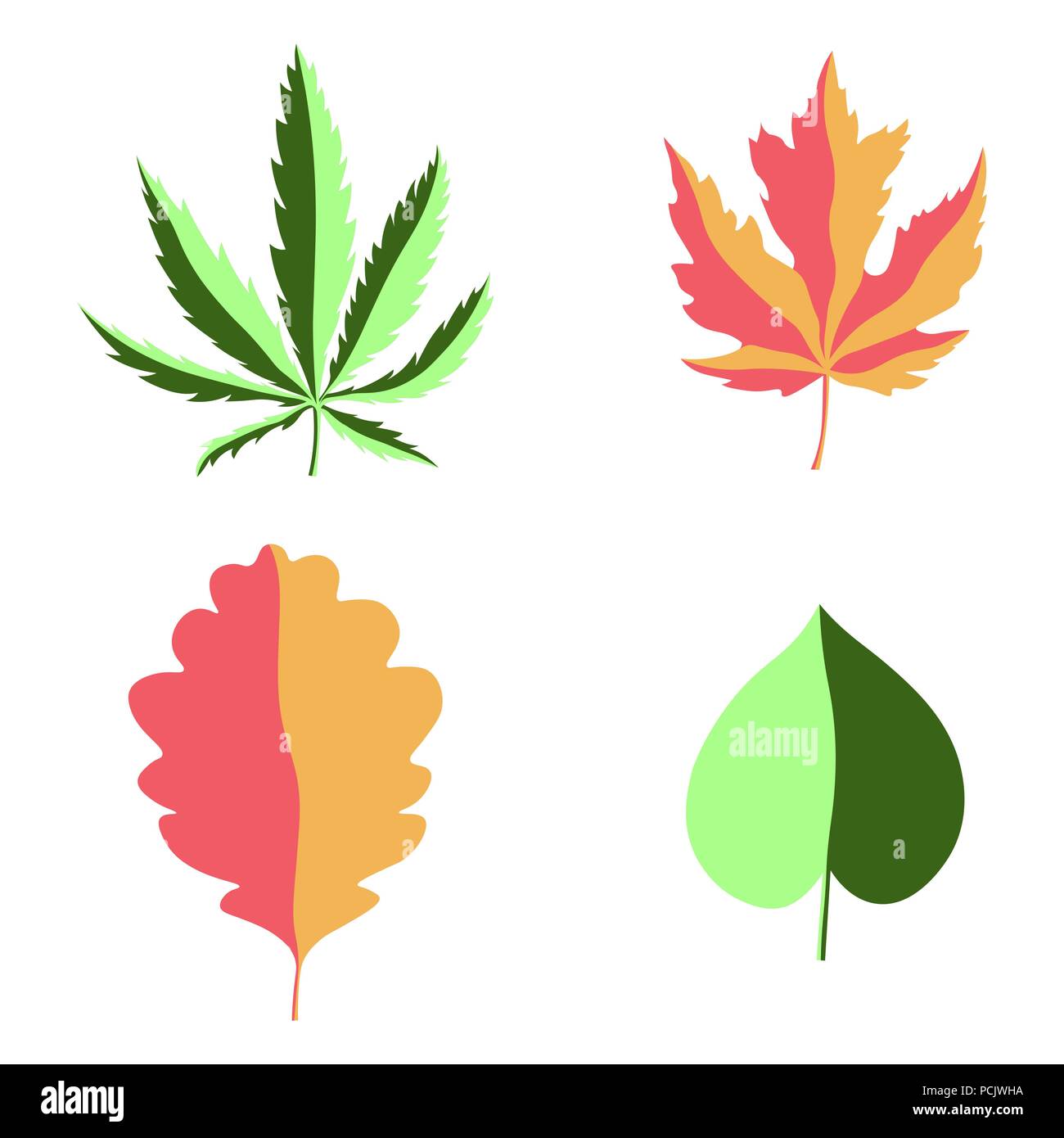 Vector set de feuilles isolées sur un fond blanc. Feuilles d'arbre Vector set. Éléments de conception de scénario. le chanvre, érable, chêne Illustration de Vecteur