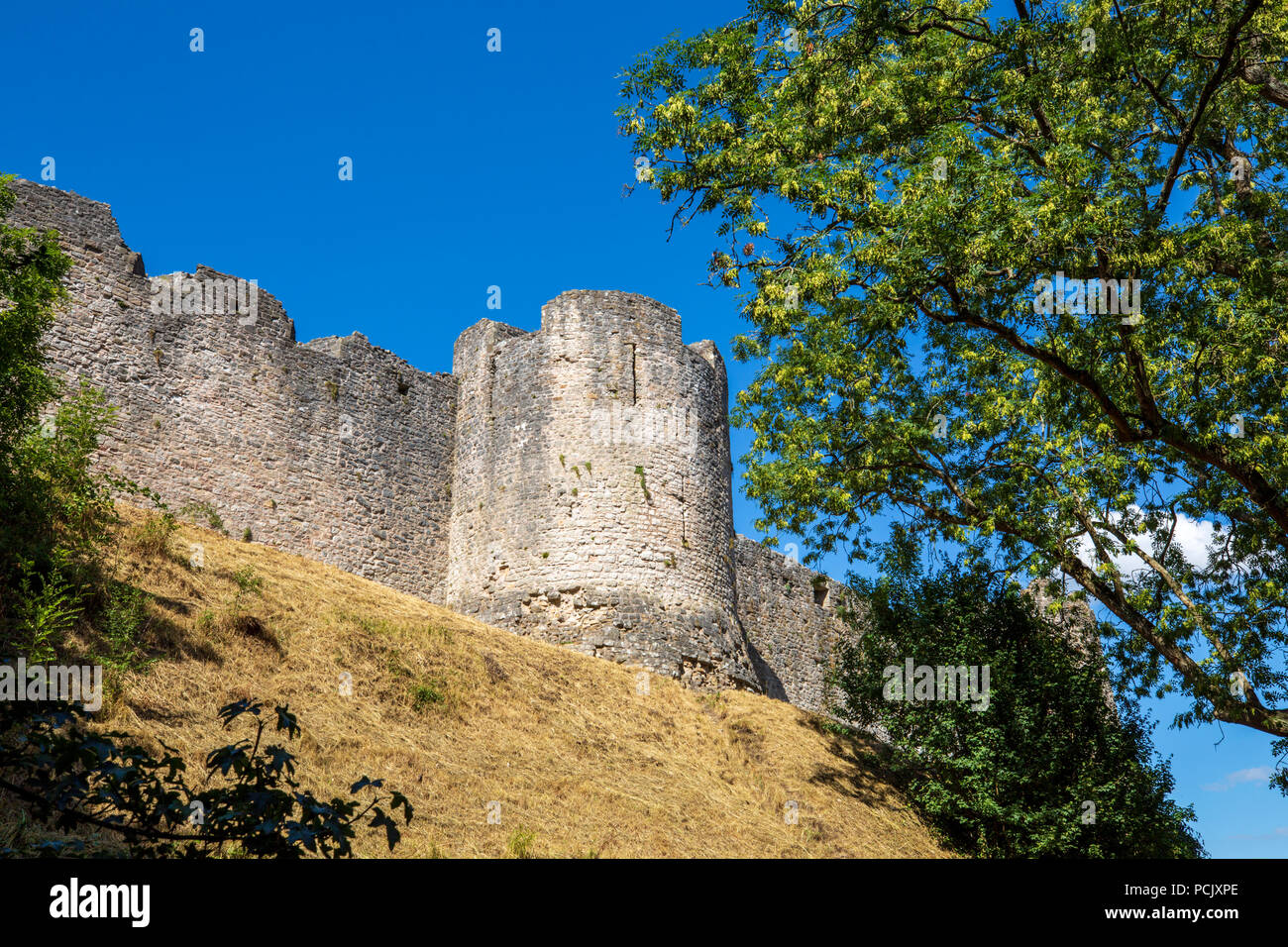 Vue depuis le sud de château de Chepstow, Chepstow, au Pays de Galles Banque D'Images