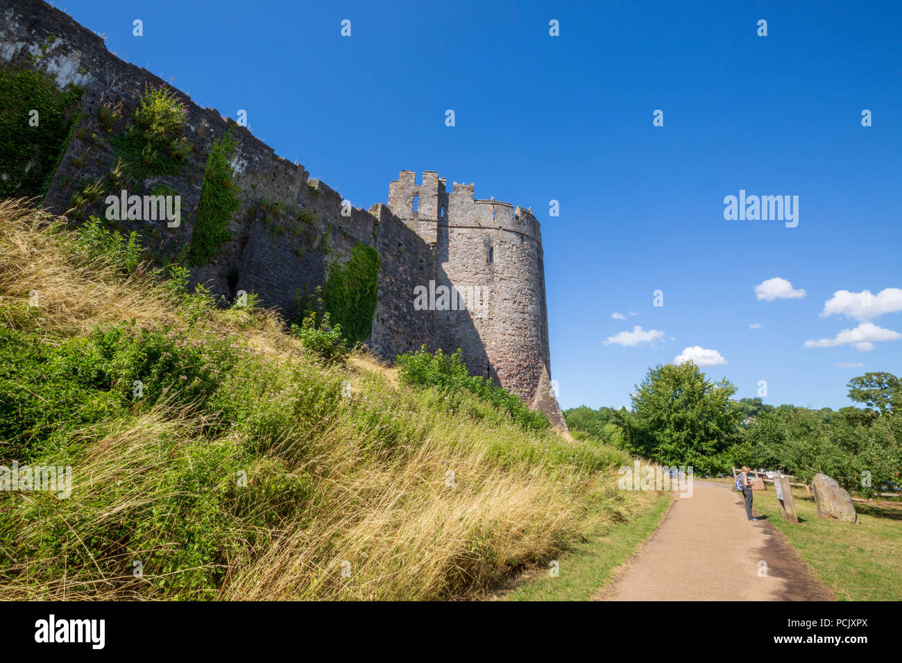 Vue depuis le sud de château de Chepstow, Chepstow, au Pays de Galles Banque D'Images