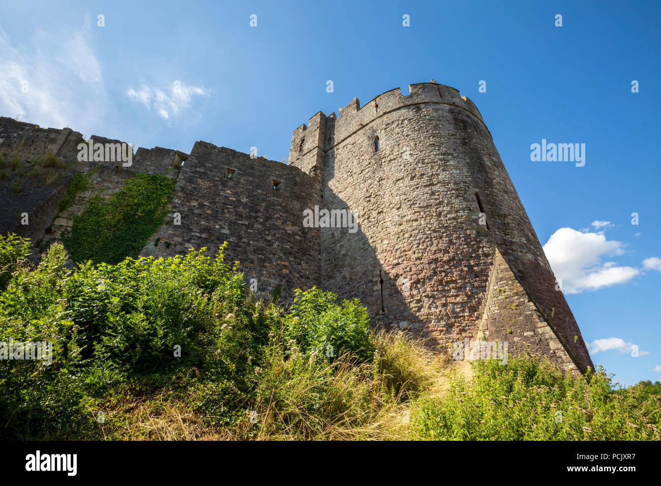 Vue depuis le sud de château de Chepstow, Chepstow, au Pays de Galles Banque D'Images