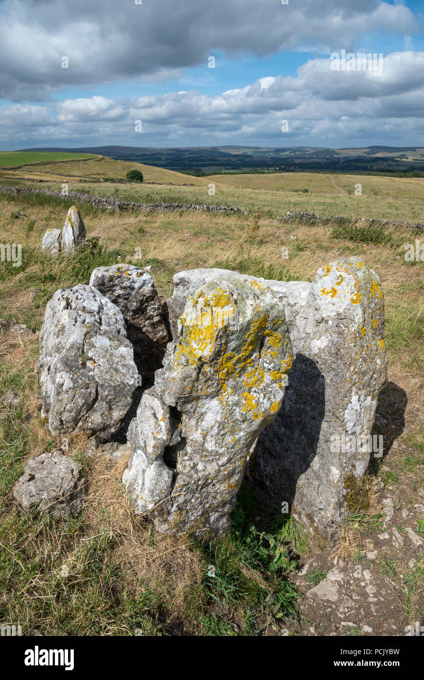 Cinq puits chambré, cairn Taddington, Derbyshire en Angleterre. Restes d'une tombe mégalithique pensé pour être le plus grand exemple de ce genre en Grande-Bretagne. Banque D'Images