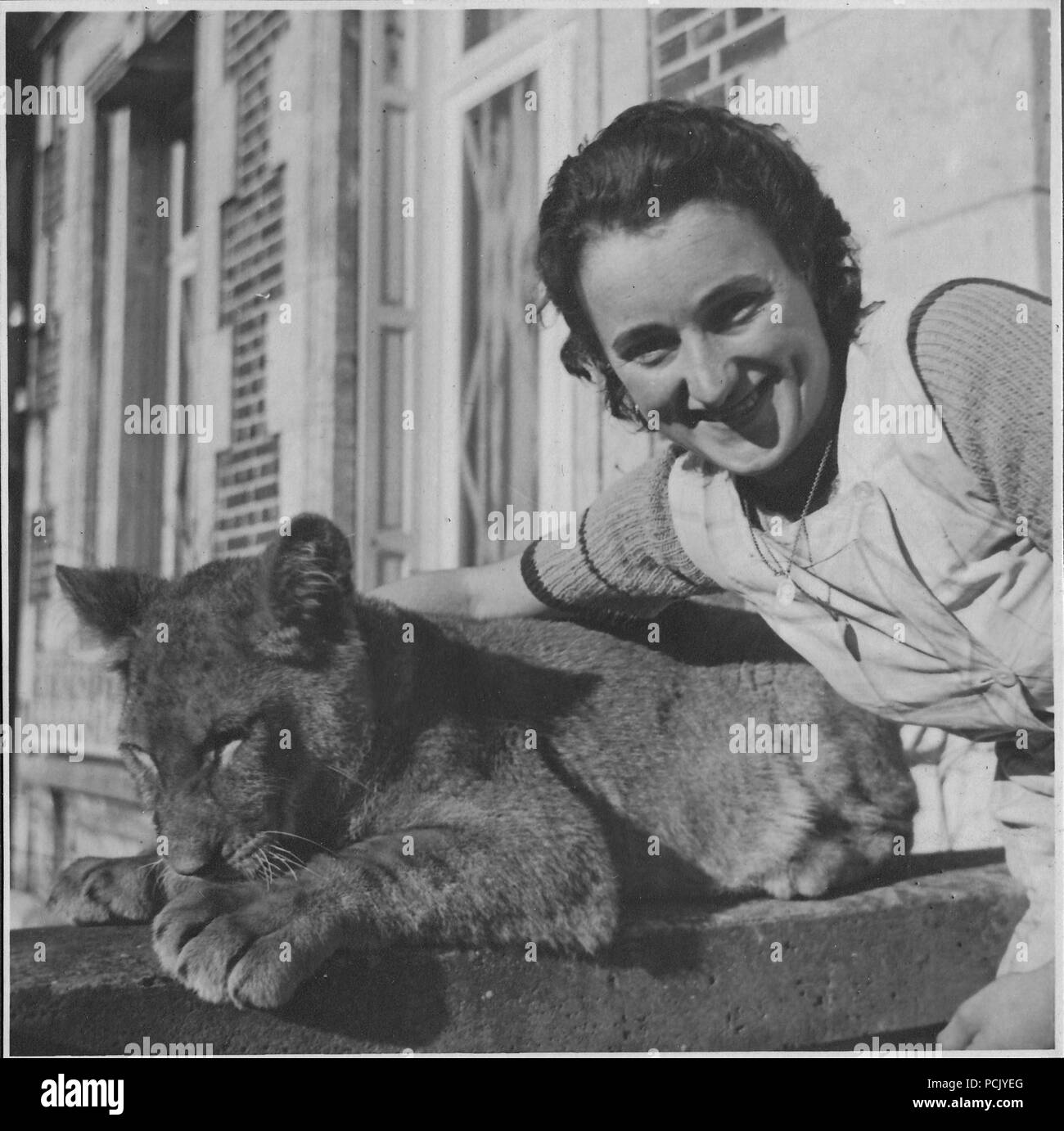 Image à partir d'un album de photos relatives à II. Gruppe, Jagdgeschwader 3 : une fille française joue avec 'Simba', le lion cub mascotte de II. Gruppe, Jagdgeschwader 3, à l'été 1940. Banque D'Images