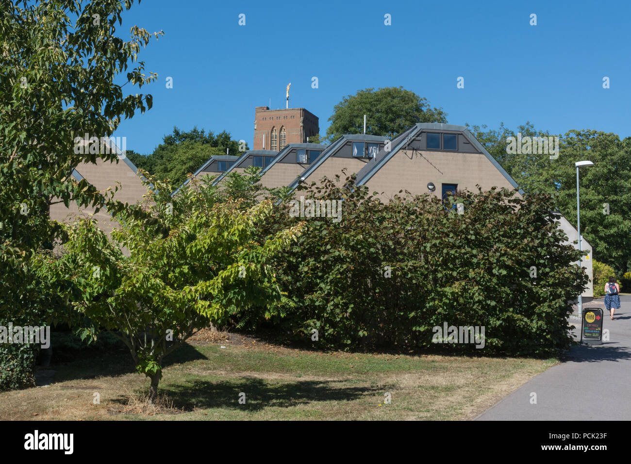 Des résidences sur le Cerf Hill Campus, Université de Surrey, Guildford, UK Banque D'Images