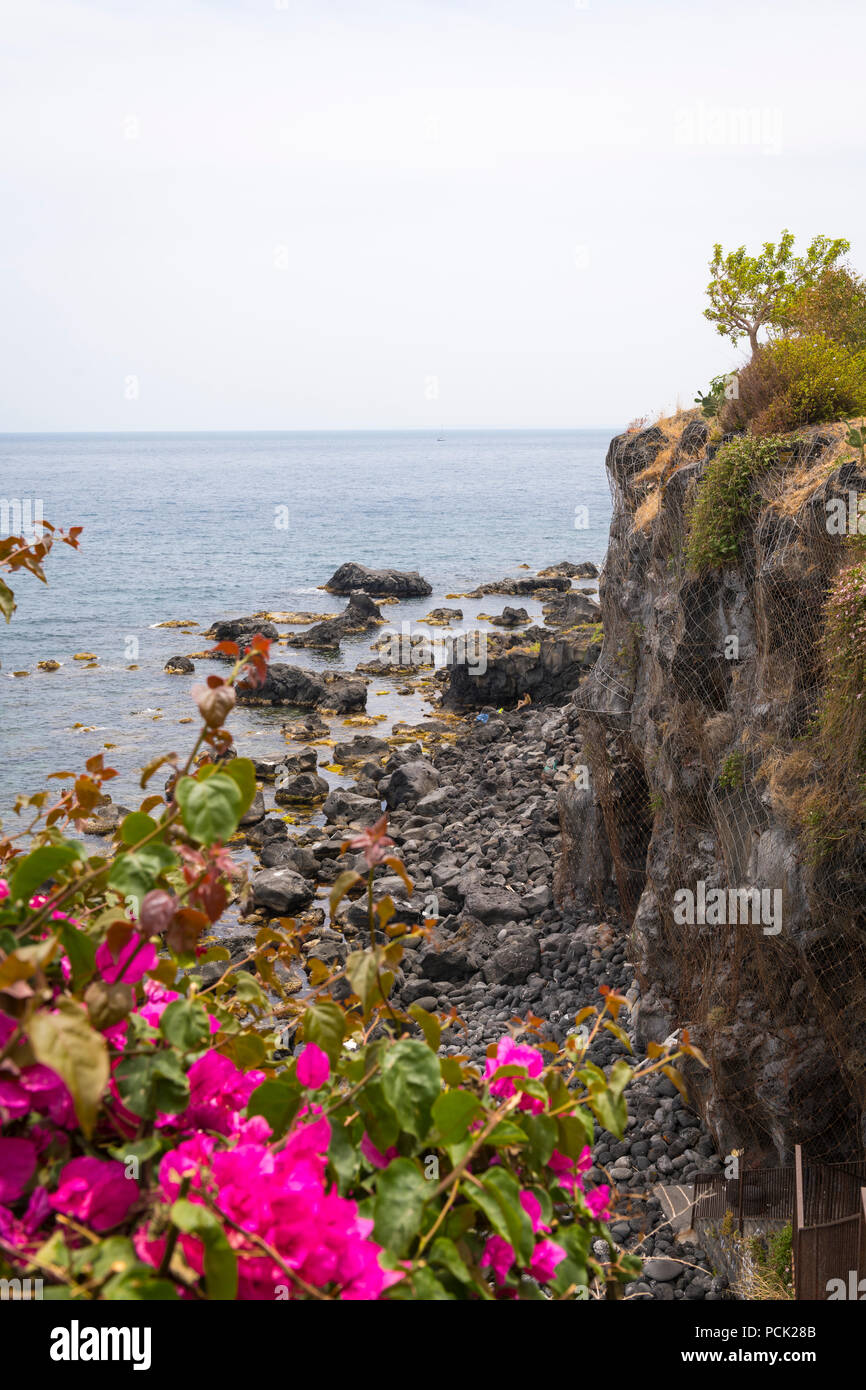 Italie Sicile Catane Aci Castello falaise rochers plage rocheuse, l'eau de mer rouge rose vif des bougainvillées arbre filet bord de mer Ionean buissons bateau à voile Banque D'Images