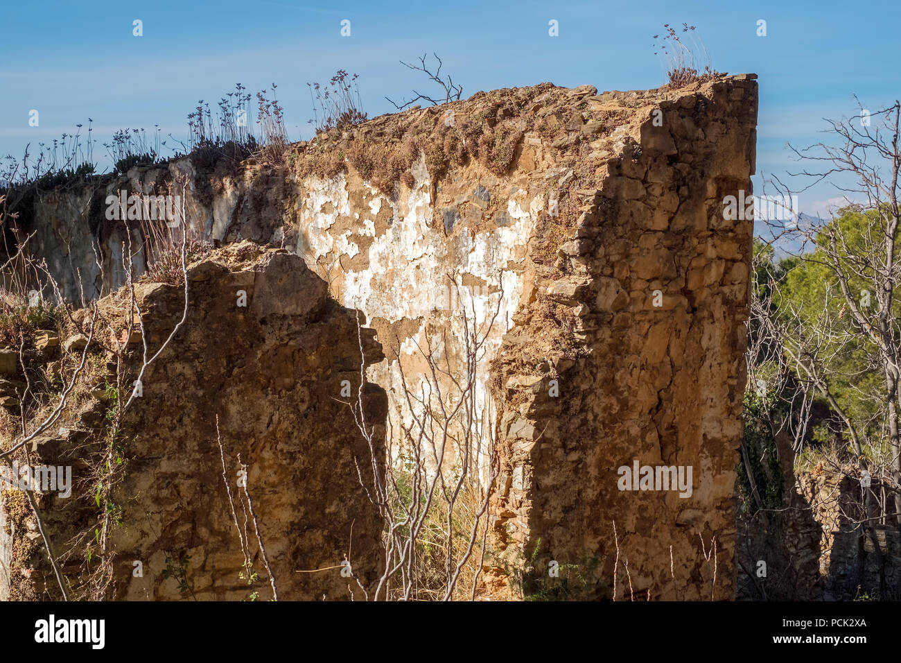 Ruines dans la forêt Banque D'Images