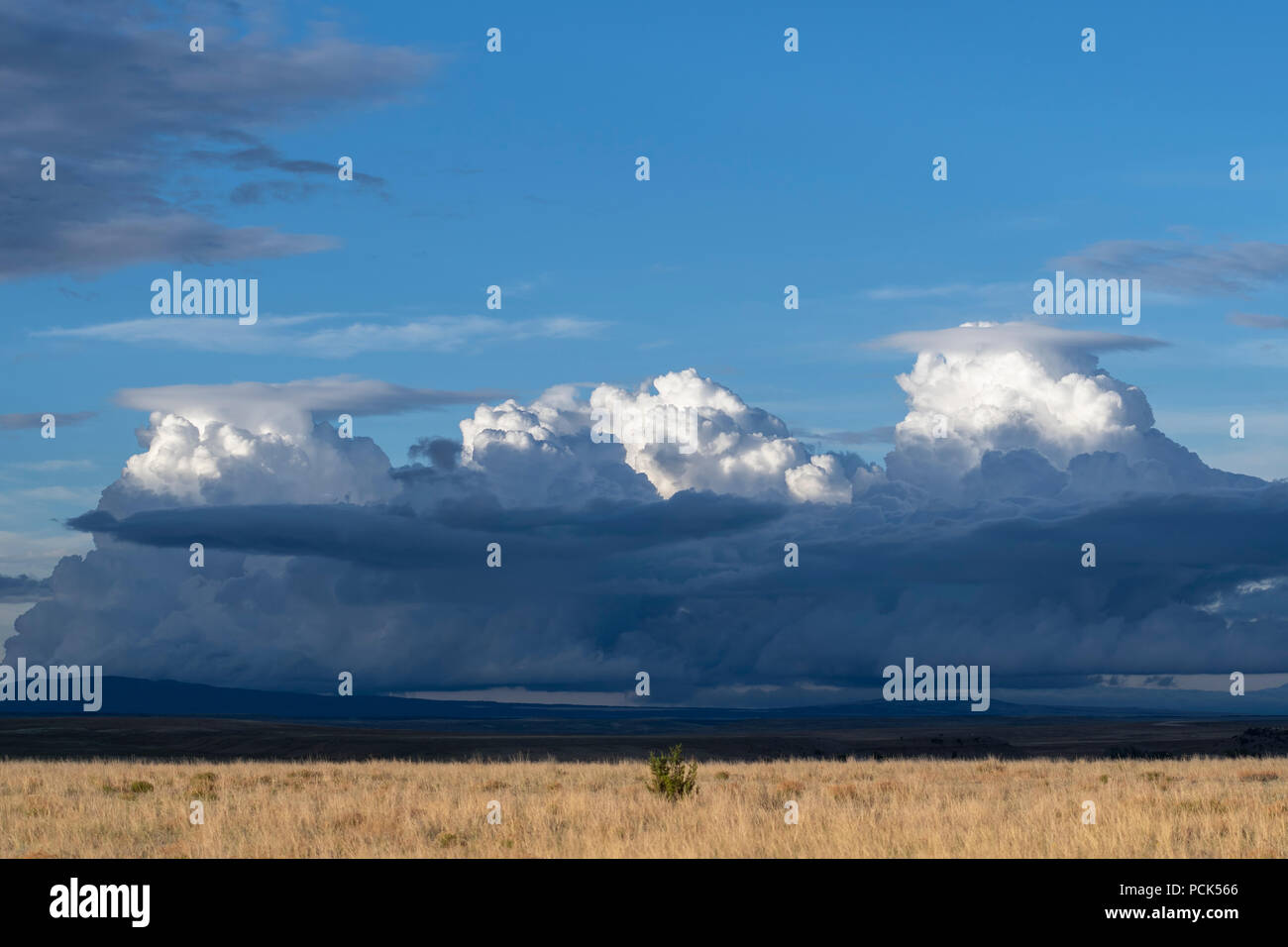 Les Cumulonimbus. Mora Comté, NM, États-Unis d'Amérique, par Dominique Braud/Dembinsky Assoc Photo Banque D'Images