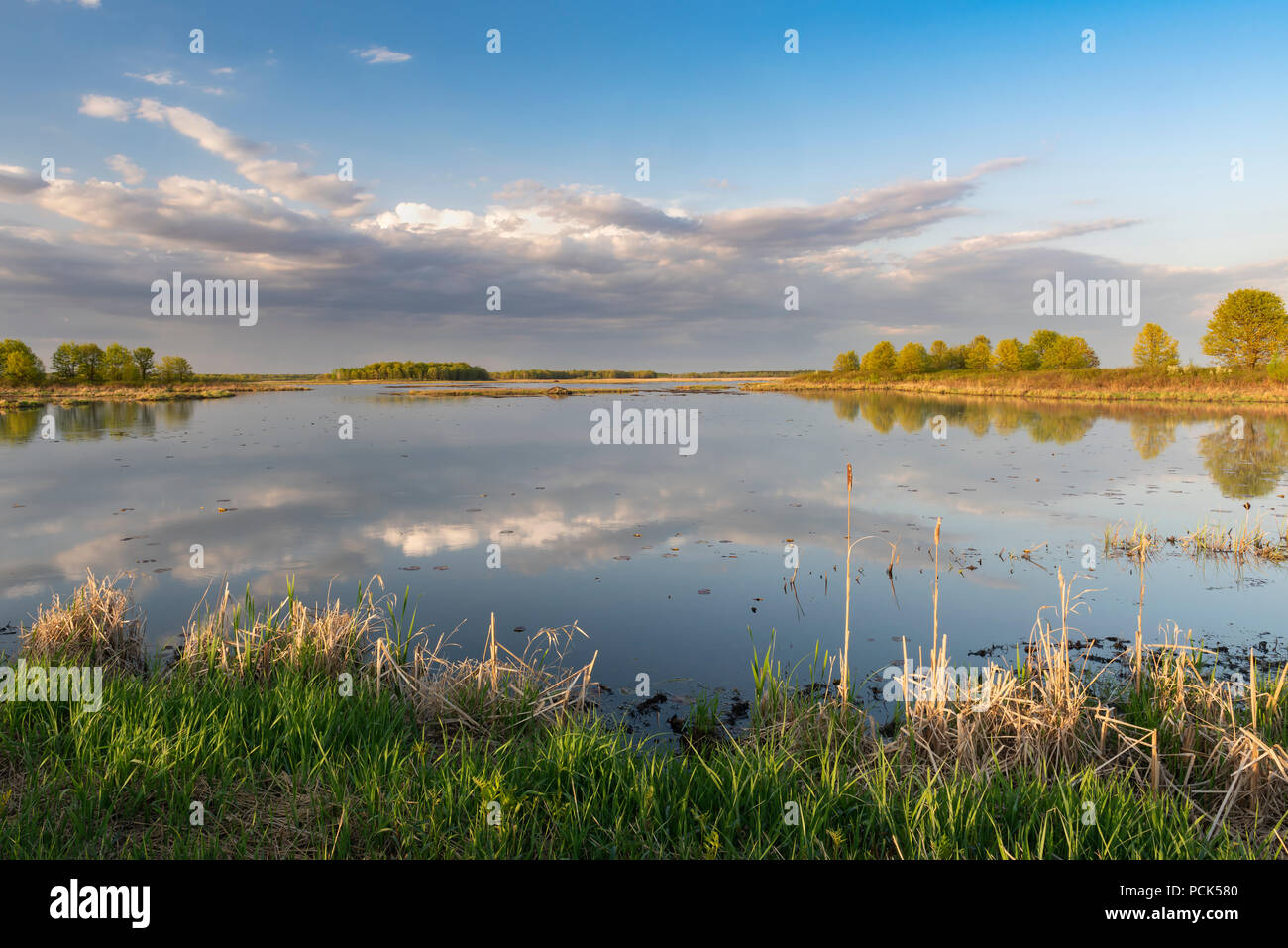 Des nuages de pluie au coucher du soleil sur Crex Meadows Wildlife Management Area, mai, WI, États-Unis d'Amérique, par Dominique Braud/Dembinsky Assoc Photo Banque D'Images