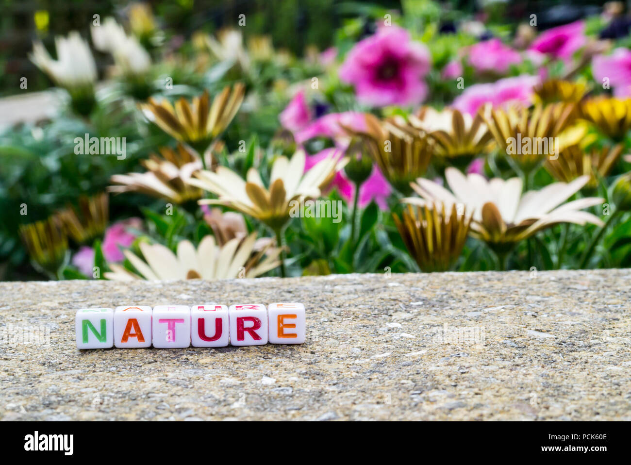 Perles de l'orthographe alphabétique 'nature' à côté d'un lit de fleur Banque D'Images
