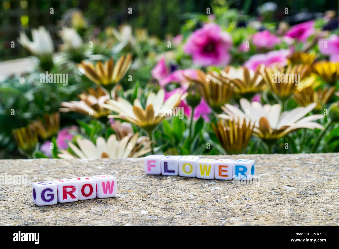 Perles de l'orthographe alphabétique 'croître' et 'fleur' à côté d'un lit de fleur Banque D'Images