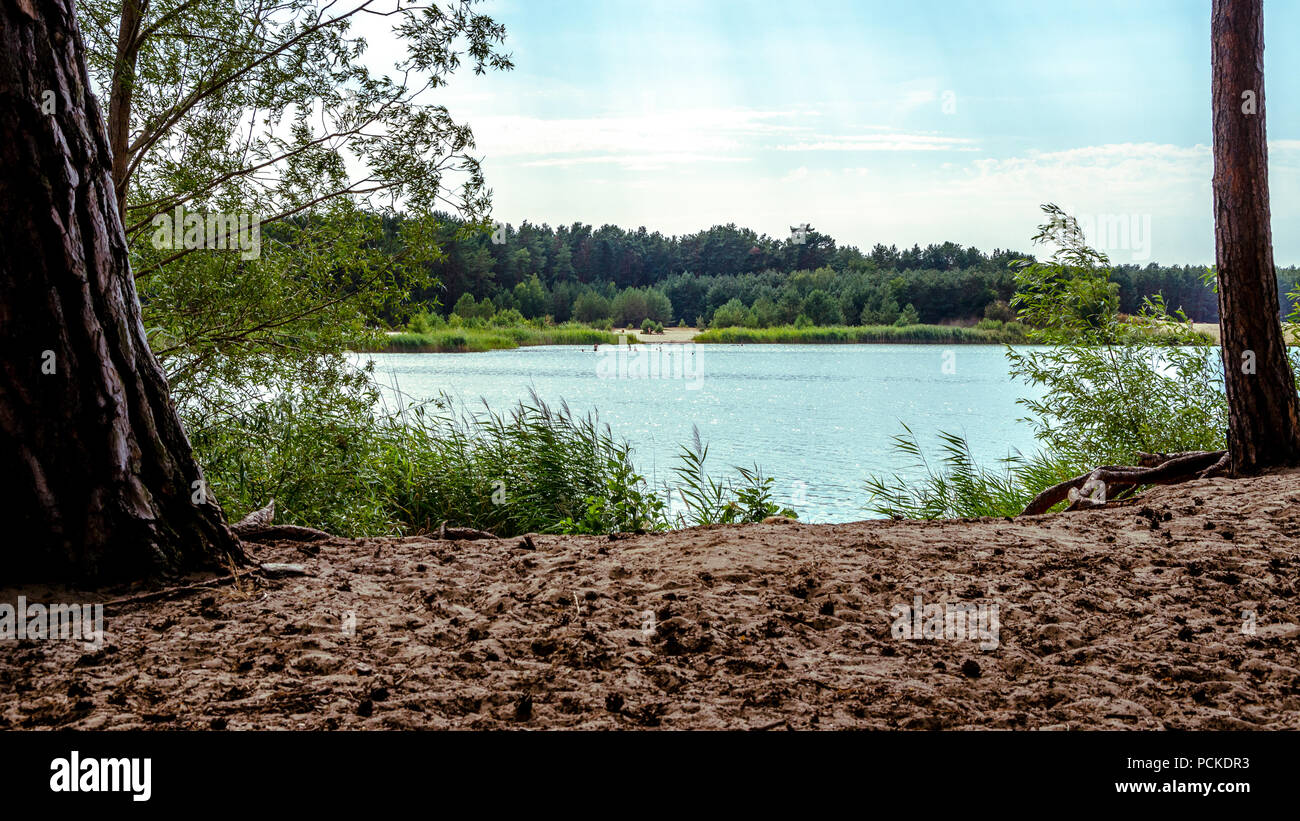 Lac avec plage et forêt. Beau paysage de vacances lac allemand. Les séries d'image. Banque D'Images