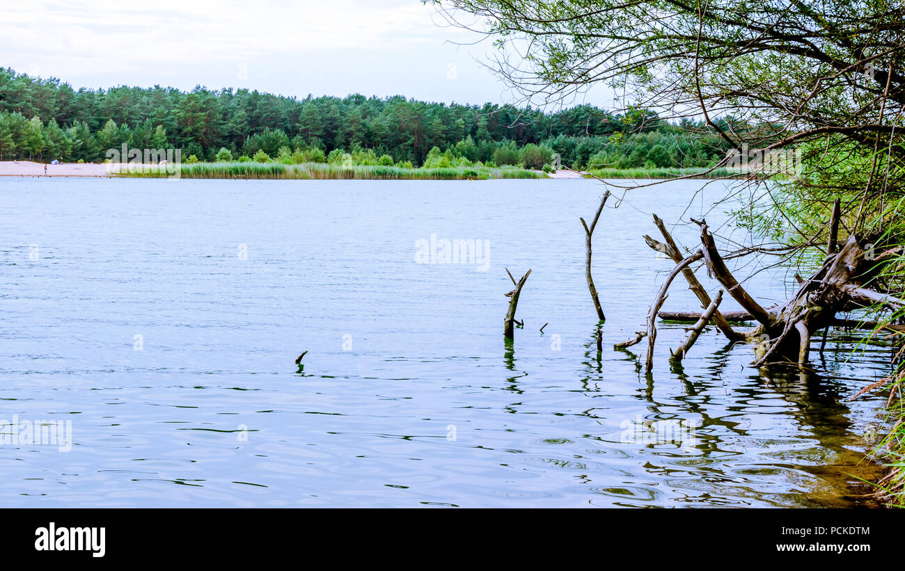 Été lac près de la forêt avec des arbres. Beau paysage de vacances lac allemand. Les séries d'image. Banque D'Images