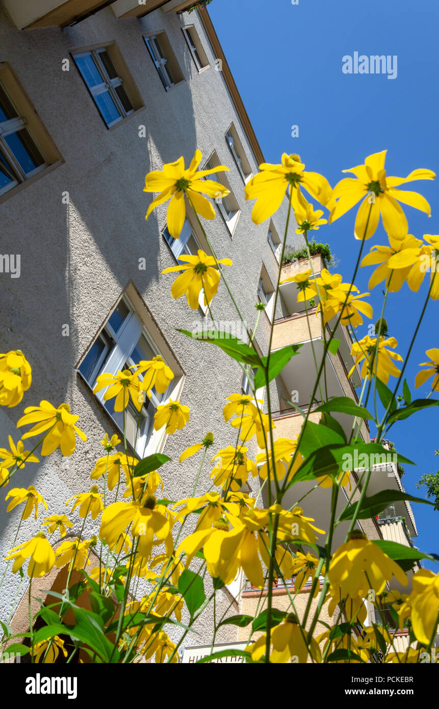 Objet de location Berlin avec des fleurs jaunes. Beau paysage de l'immobilier locations. Les séries d'image. Banque D'Images