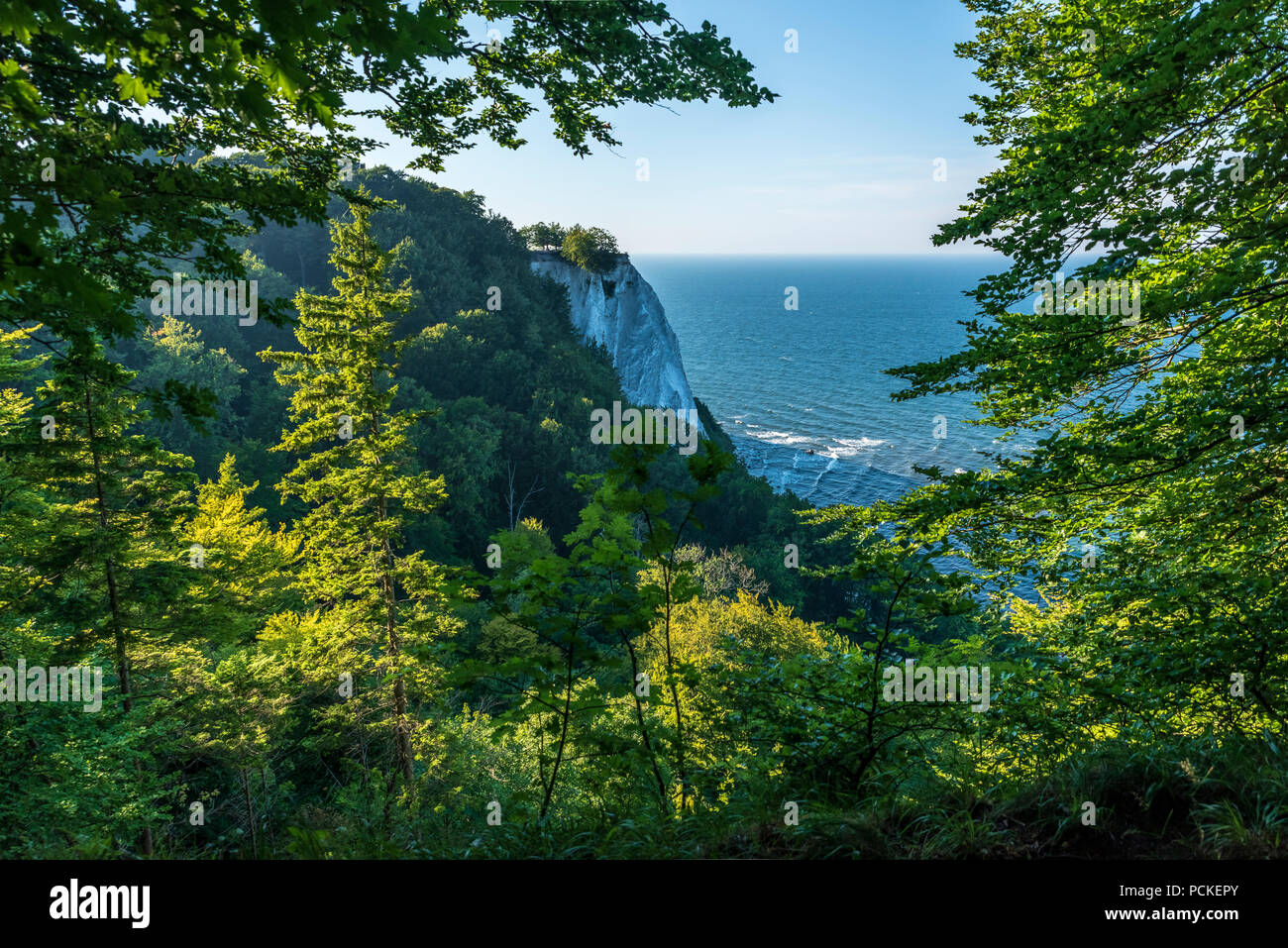 Avis de Königsstuhl Président du Roi est la célèbre falaise de craie sur l'île de Rügen, parc national de Jasmund. Banque D'Images
