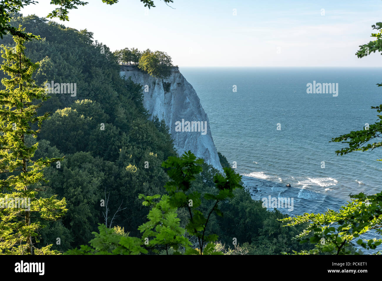 Avis de Königsstuhl Président du Roi est la célèbre falaise de craie sur l'île de Rügen, parc national de Jasmund. Banque D'Images