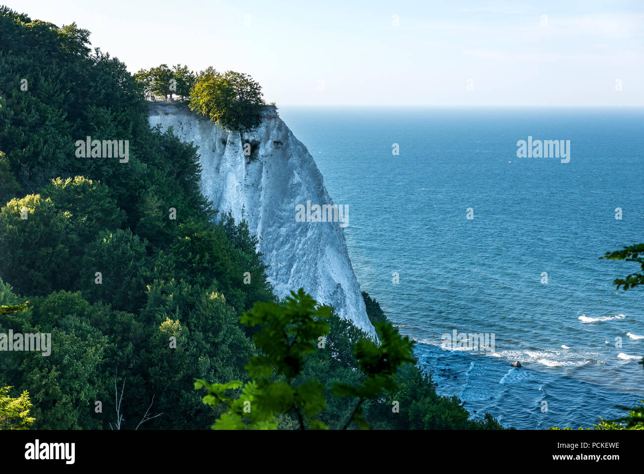 Avis de Königsstuhl Président du Roi est la célèbre falaise de craie sur l'île de Rügen, parc national de Jasmund. Banque D'Images
