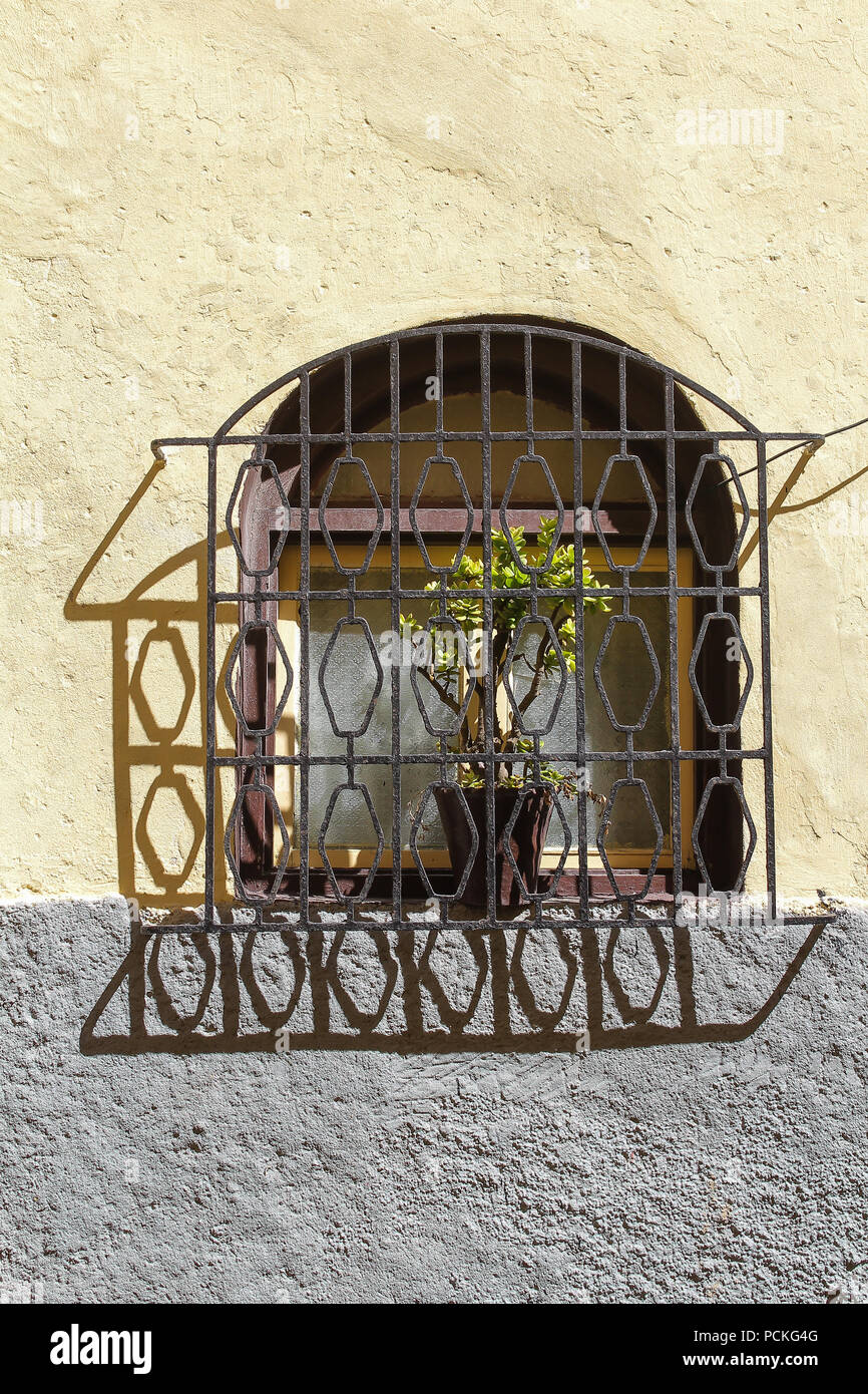 Fenêtre avec un arc et un cadre en bois de couleur sombre. Treillis et son ombre. Les plantes dans les pots. La façade jaune et gris. El Jadida, Maroc. Banque D'Images