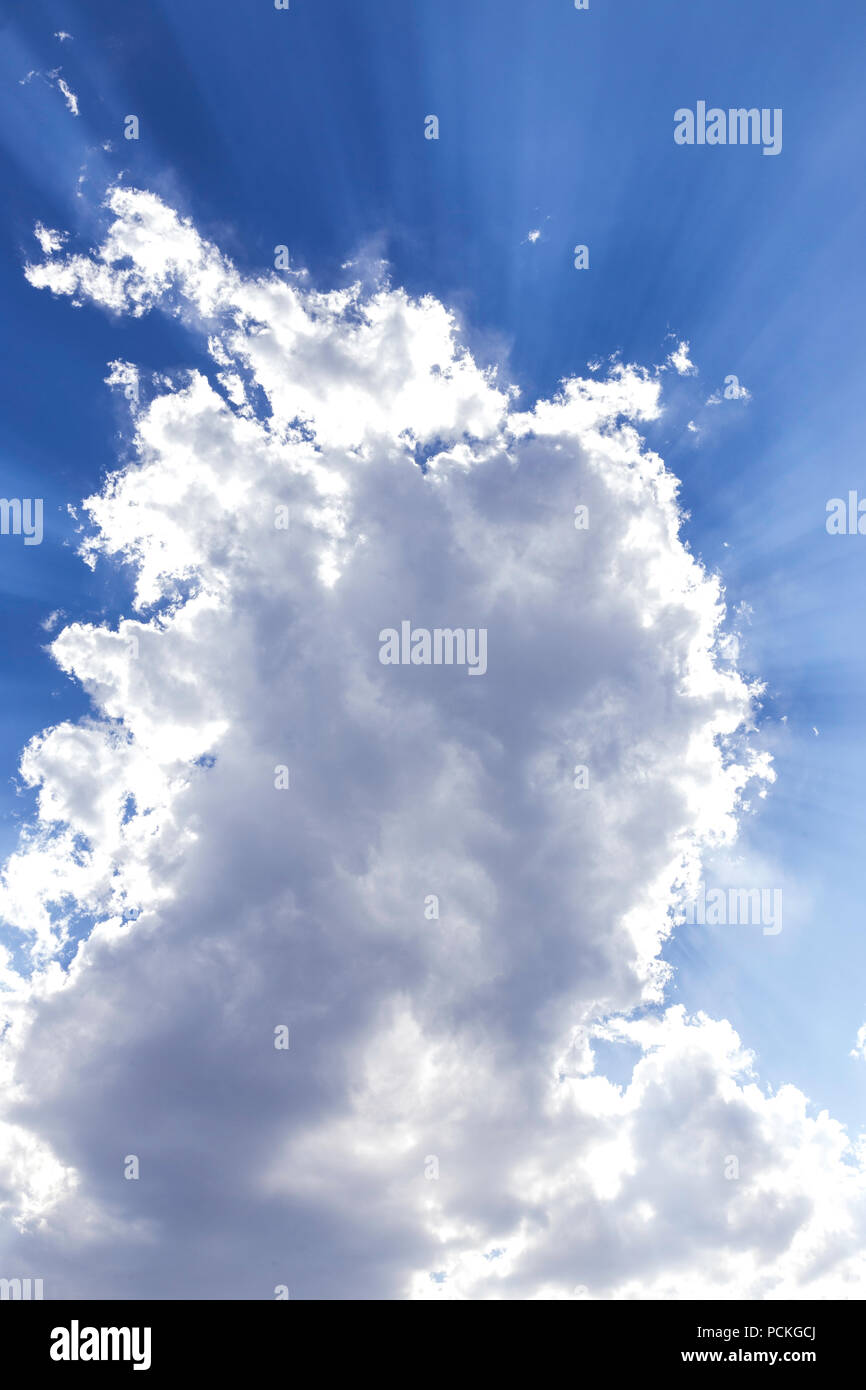 Ciel bleu et nuages, Big Sky Country, Montana, USA Banque D'Images