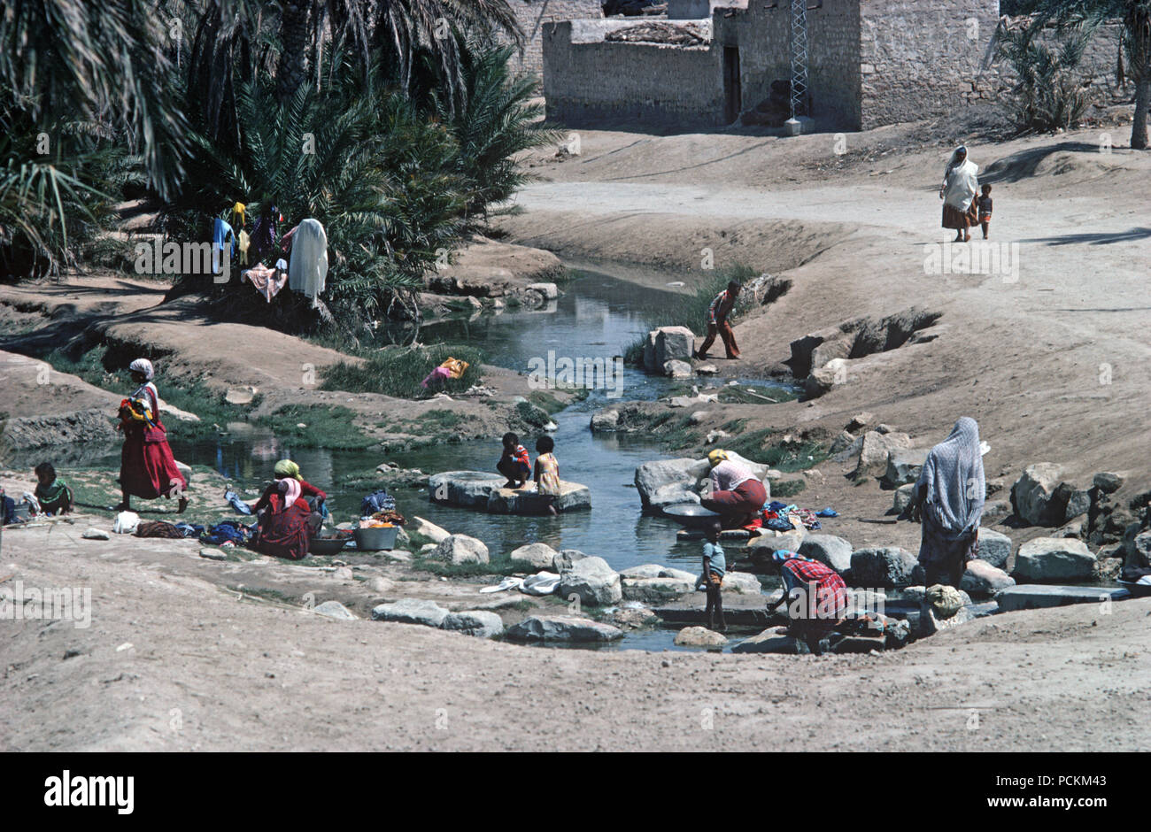 Berger arabe des femmes et des enfants dans l'oasis de Tozeur le lavage des vêtements, désert du Sahara, au sud de la Tunisie, l'Afrique du Nord Banque D'Images