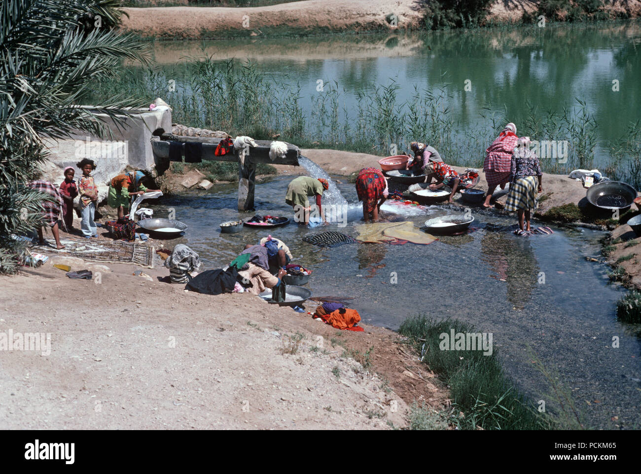 Berger arabe des femmes et des enfants dans l'oasis de Tozeur le lavage des vêtements, désert du Sahara, au sud de la Tunisie, l'Afrique du Nord Banque D'Images