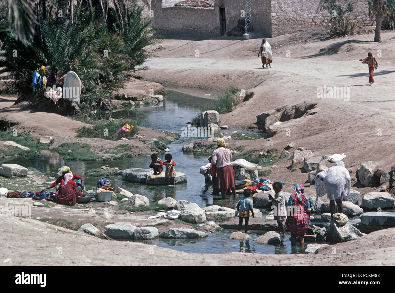 Berger arabe des femmes et des enfants dans l'oasis de Tozeur le lavage des vêtements, désert du Sahara, au sud de la Tunisie, l'Afrique du Nord Banque D'Images