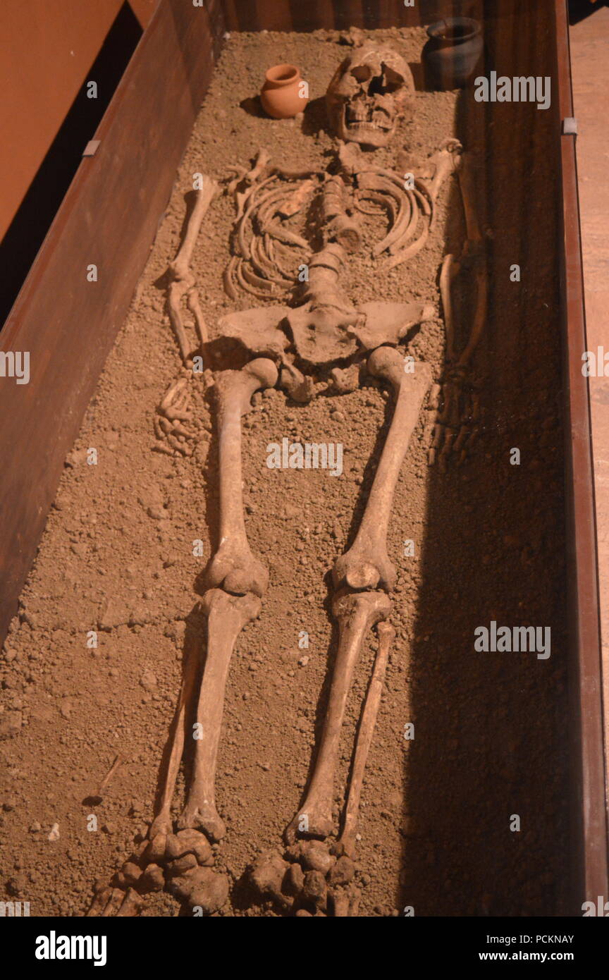 Squelette d'un homme assassiné Banque D'Images