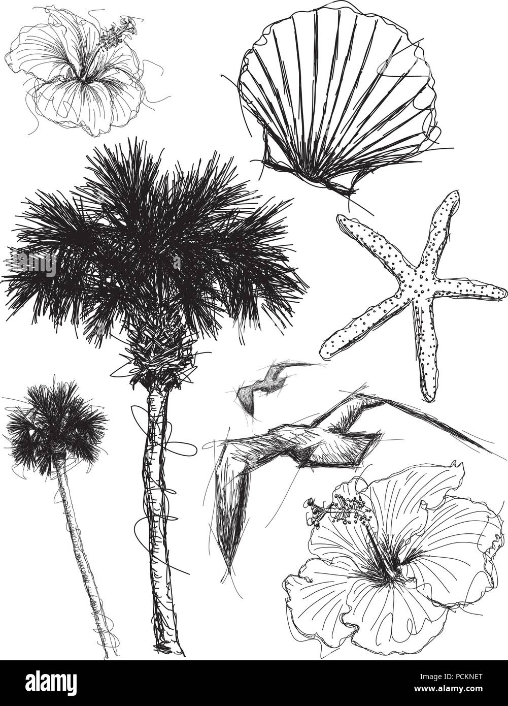 Beach choses fragmentaires, dessinés à la main, palmiers, mouettes, hibiscus, et les coquillages Illustration de Vecteur