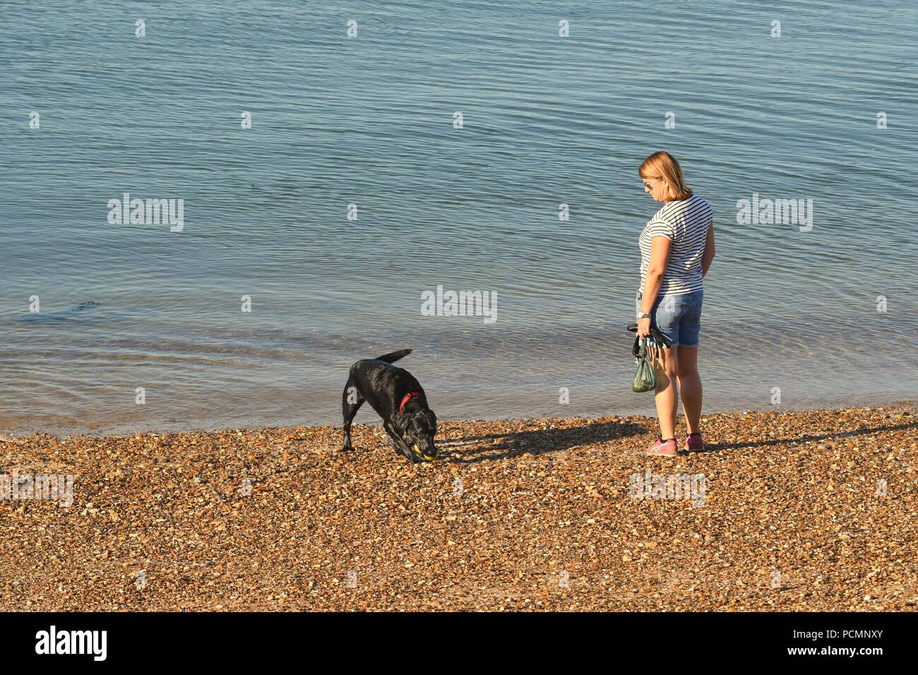 Thorpe Bay, Southend-on-Sea, Essex, Royaume-Uni. 3 Août, 2018. Météo France : Matin vues sur la plage de Thorpe Bay - vue d'une femme et son chien Crédit : Ben Recteur/Alamy Live News Banque D'Images