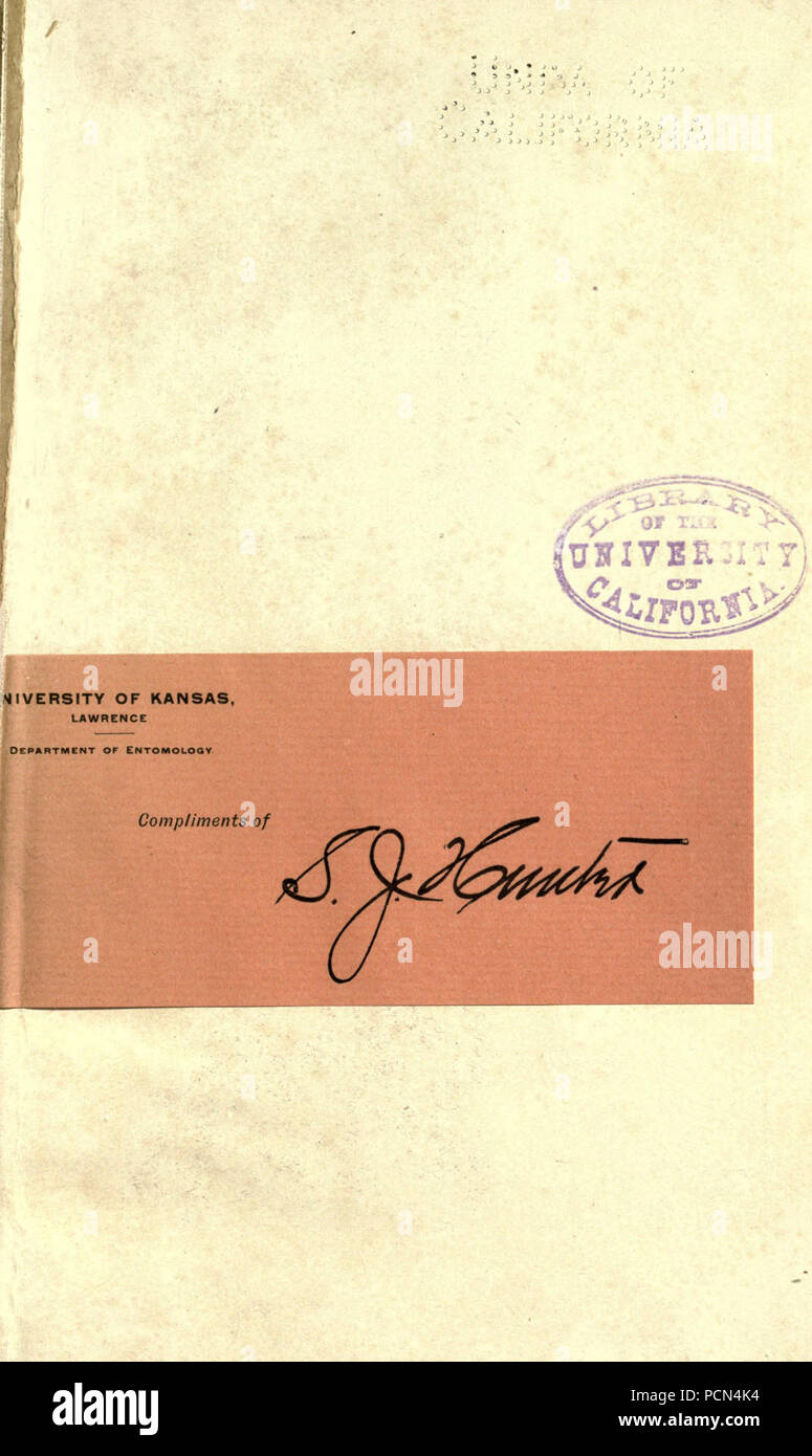 La luzerne, les sauterelles, les abeilles- leur relation Banque D'Images