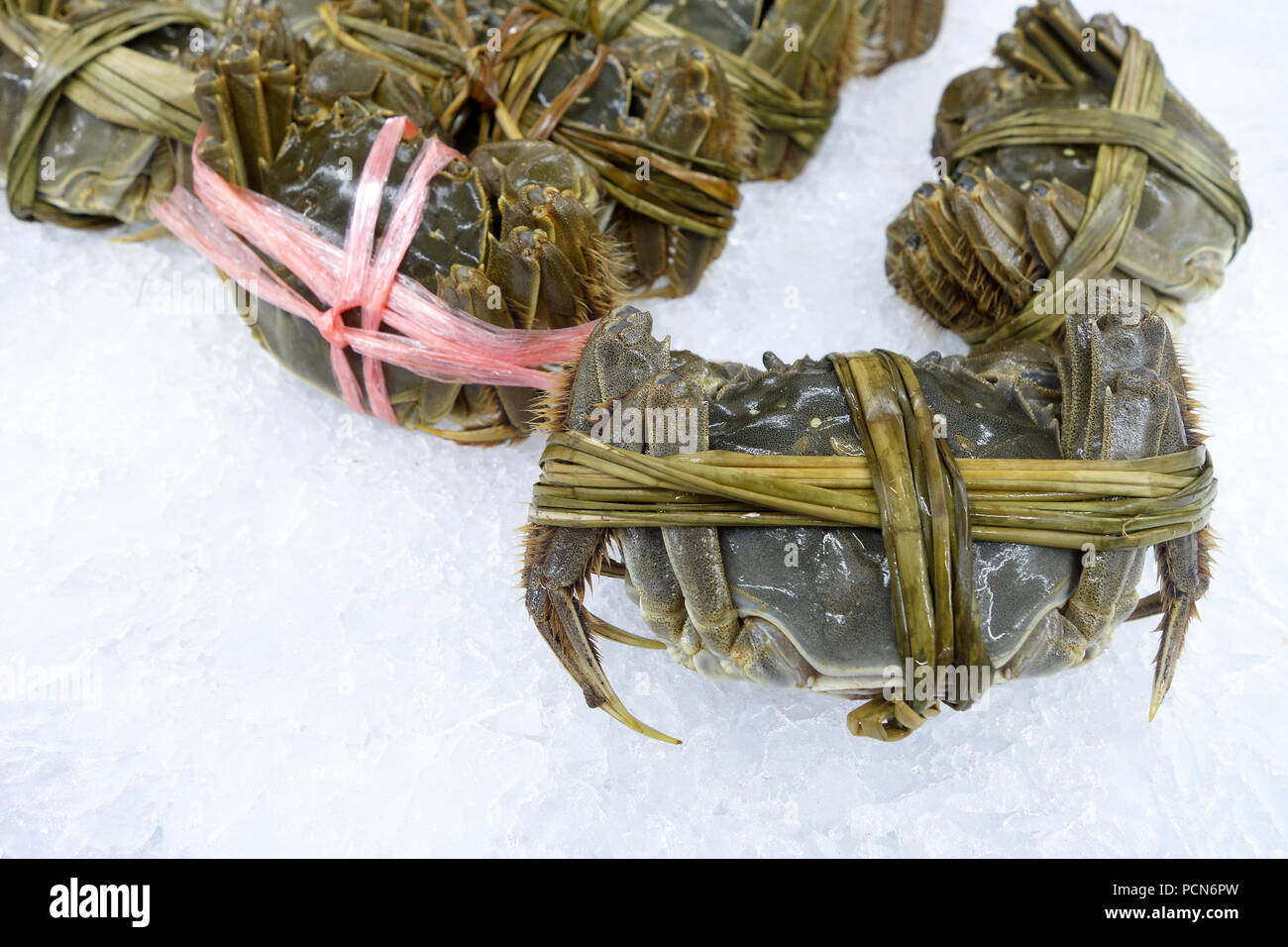 Crabe poilu shanghai matières premières les marchés traditionnels de l'IIN Banque D'Images
