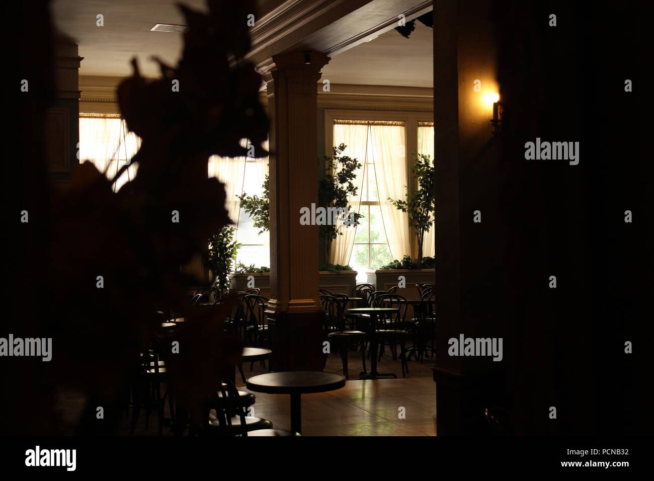 Fleurs à l'intérieur d'un beau café cliftons Banque D'Images