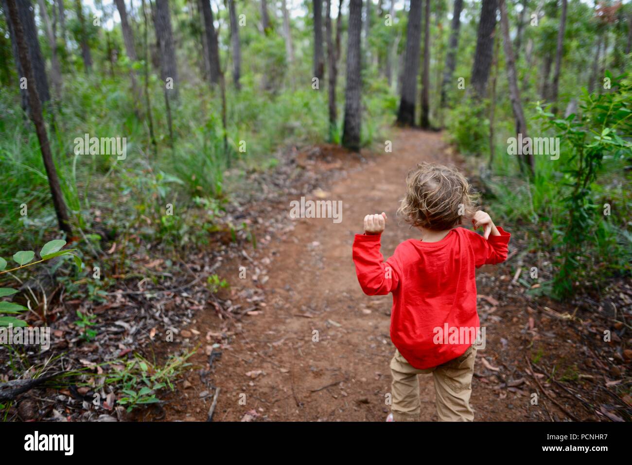 Un jeune enfant s'exécute à travers une forêt, Cardwell, Queensland, Australie Banque D'Images