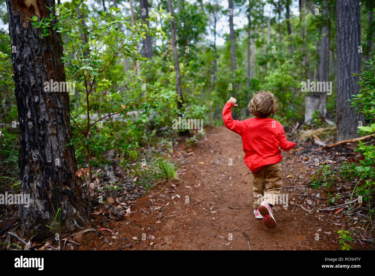 Un jeune enfant s'exécute à travers une forêt, Cardwell, Queensland, Australie Banque D'Images