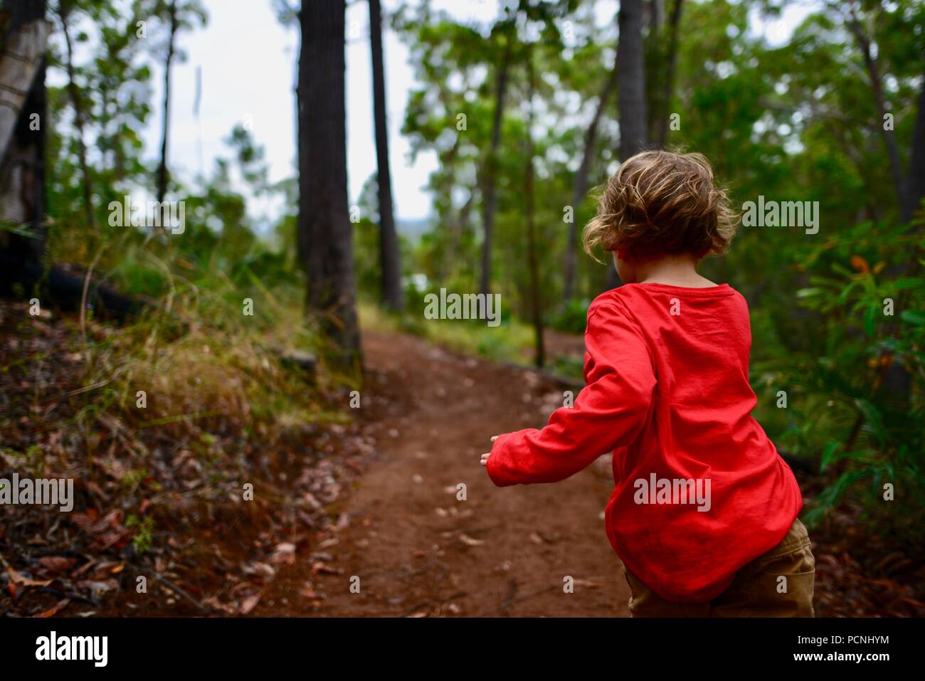 Un jeune enfant s'exécute à travers une forêt, Cardwell, Queensland, Australie Banque D'Images