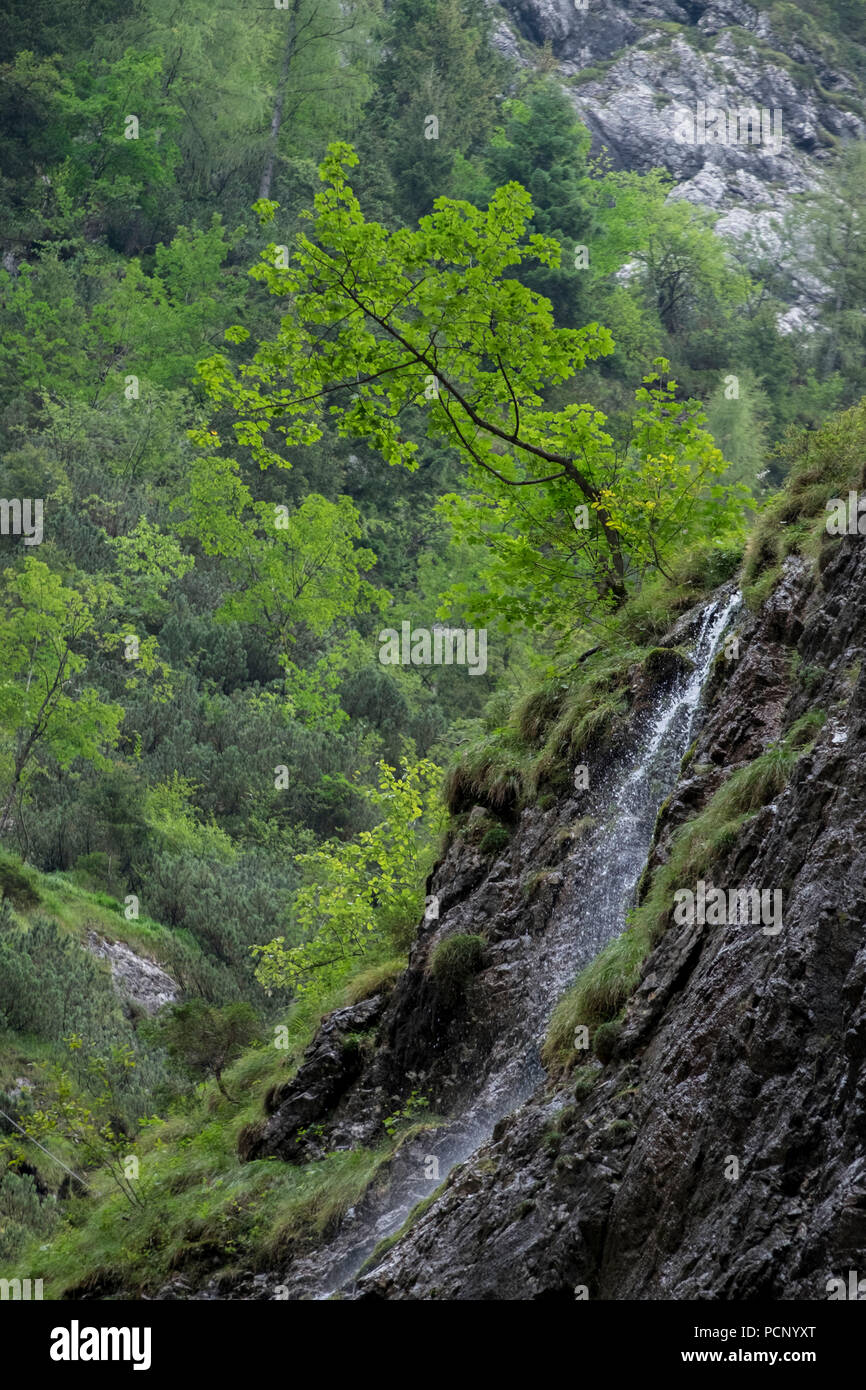 Cascade dans les montagnes de Wetterstein, Höllentalklamm, près Garmisch, Haute-Bavière, Bavière, Allemagne Banque D'Images