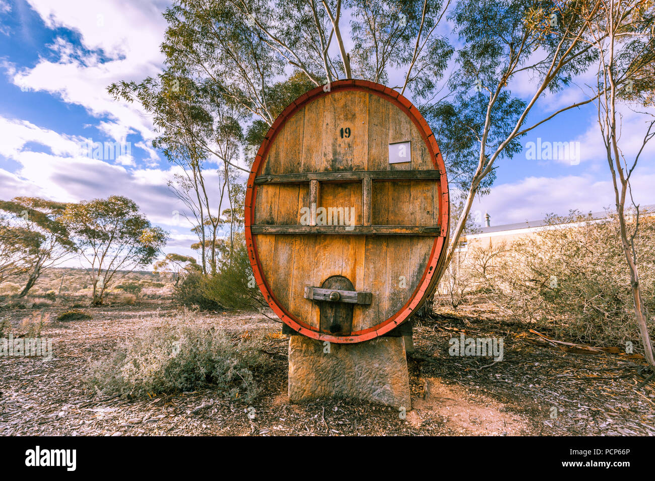 Tonneau en bois énorme dans South Australian winery Banque D'Images