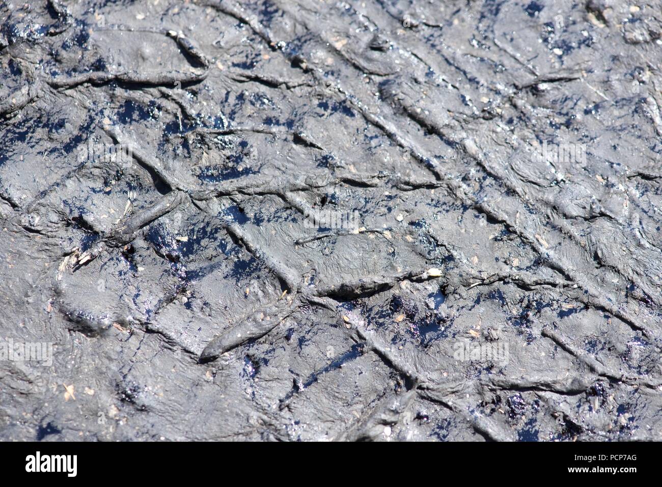 Canicule : la hausse des températures faire fondre le goudron macadam surface de la route laissant tire, et d'initialisation des impressions, et des bulles de nettoyer le goudron. Banque D'Images