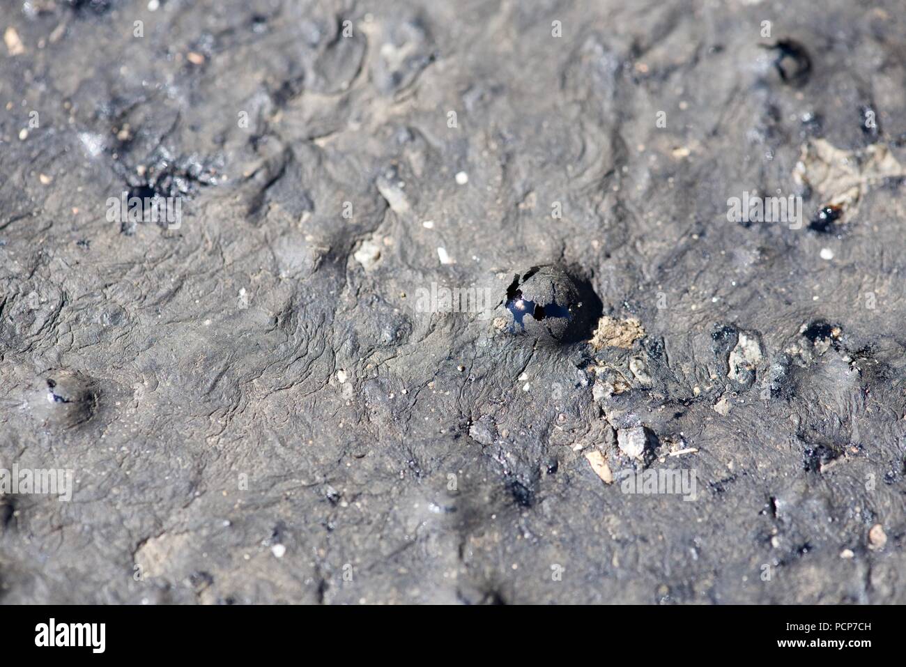 Canicule : la hausse des températures faire fondre le goudron macadam surface de la route laissant tire, et d'initialisation des impressions, et des bulles de nettoyer le goudron. Banque D'Images