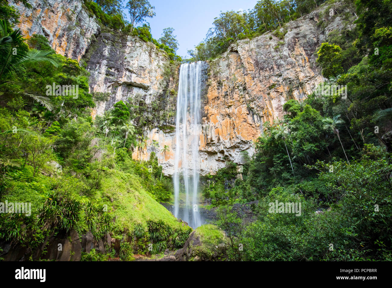 La majestueuse et emblématique Purling Brook Falls sur une chaude journée d'automne au parc national de Springbook près de la Gold Coast, Queensland, Australie Banque D'Images