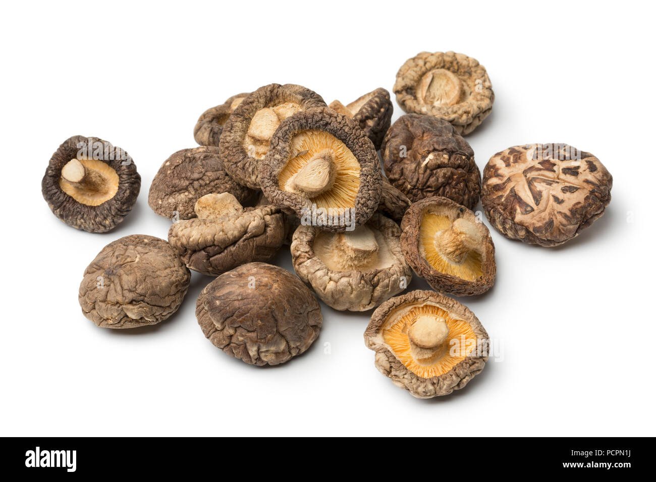Tas de champignons shiitake séchés isolé sur fond blanc Banque D'Images