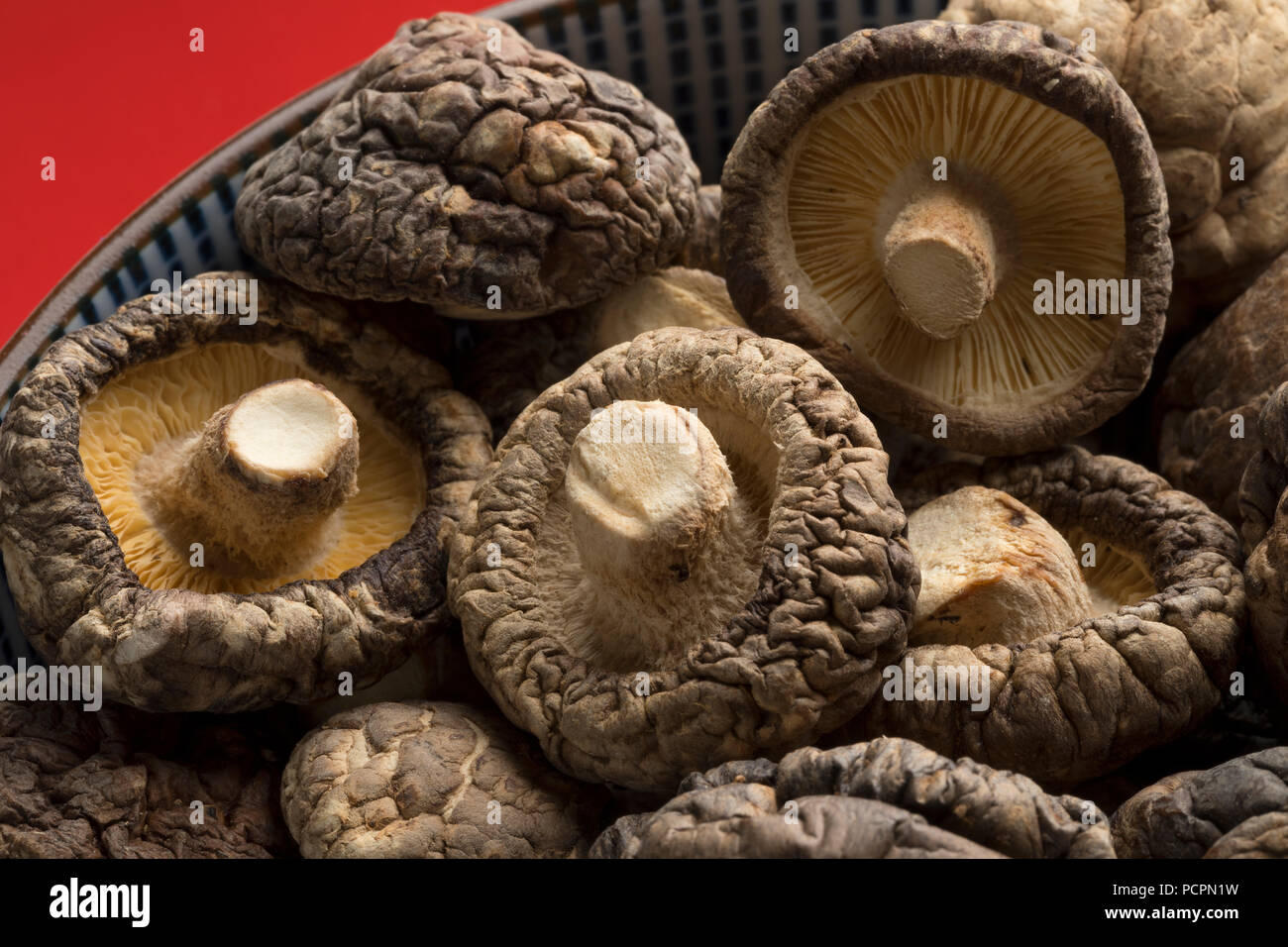 Champignons shiitake séchés close up dans un bol Banque D'Images