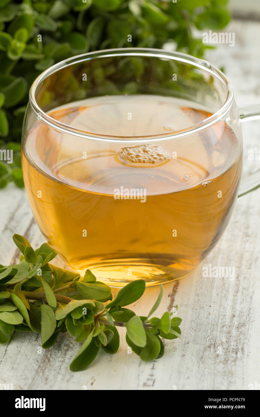 Tasse en verre de thé de fines herbes et d'une brindille de marjolaine fraîche Banque D'Images