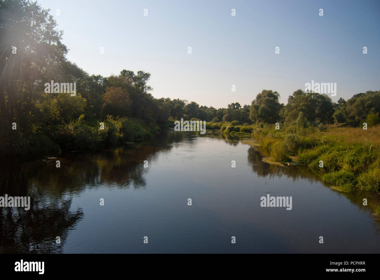 Paysage de la zone centrale de la Russie : la rivière de Nara à faible banques, envahis par l'herbe verte et des arbres Banque D'Images