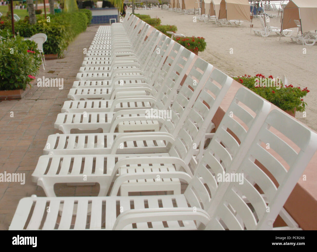 Gros plan d'une ligne droite de chaises de plage en plastique blanc sur le côté d'une piscine Banque D'Images