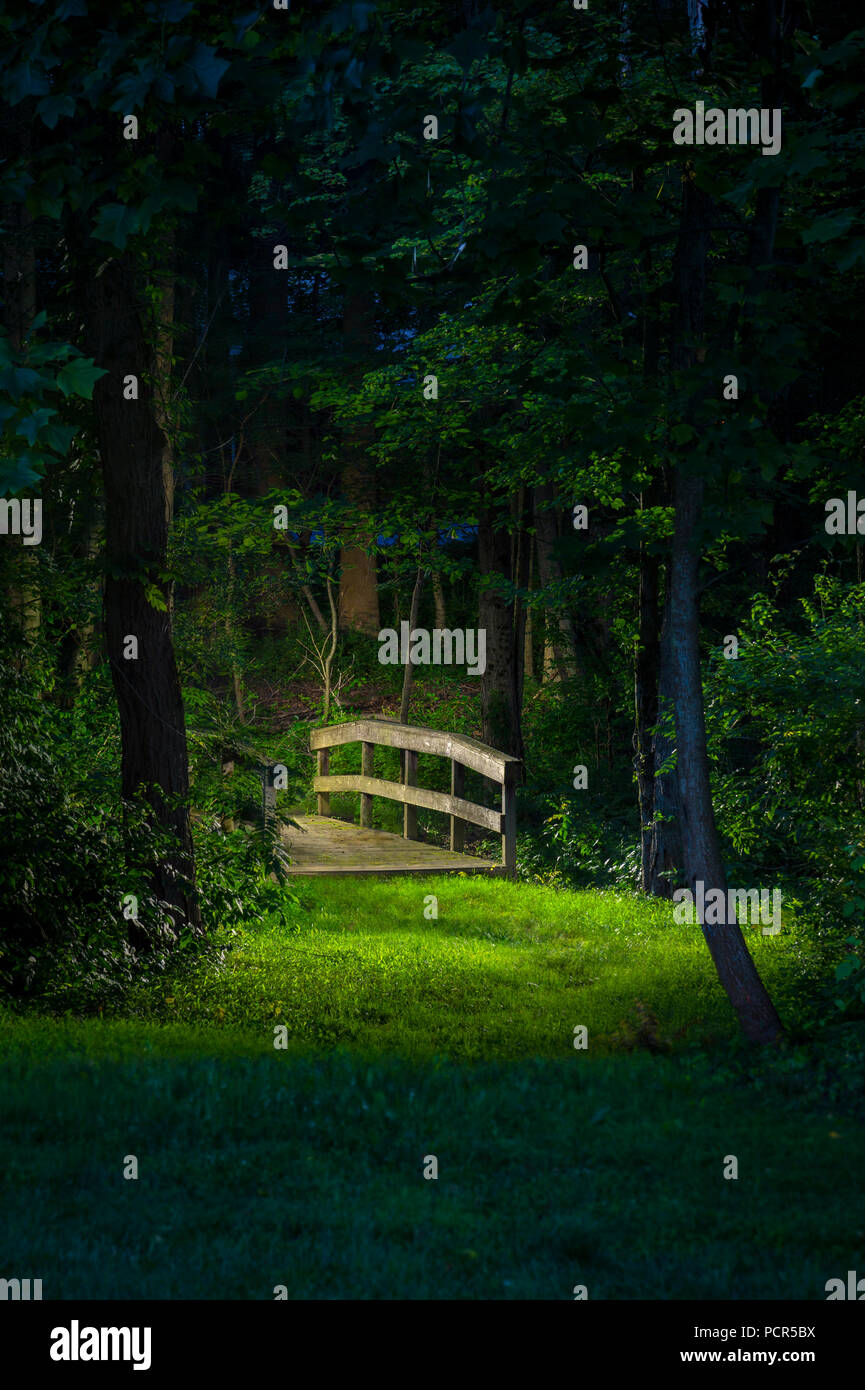 Petit pont au milieu de la forêt la nuit Banque D'Images