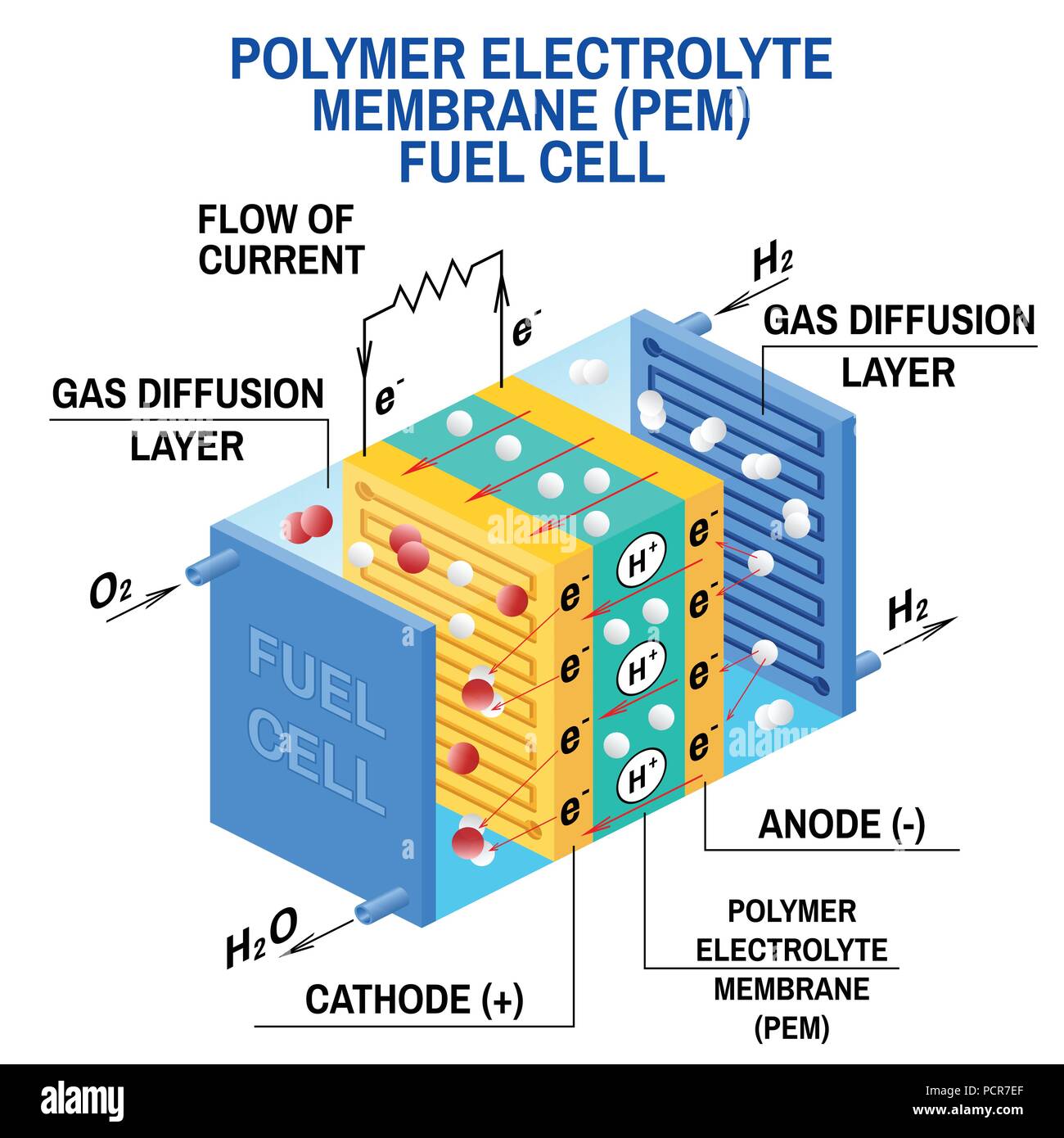 Schéma de la pile à combustible. Vecteur. Dispositif qui convertit l'énergie potentielle chimique en énergie électrique. Un PEM, Proton Exchange Membrane cellule utilise le gaz hydrogène et oxygène gaz comme combustible. Illustration de Vecteur