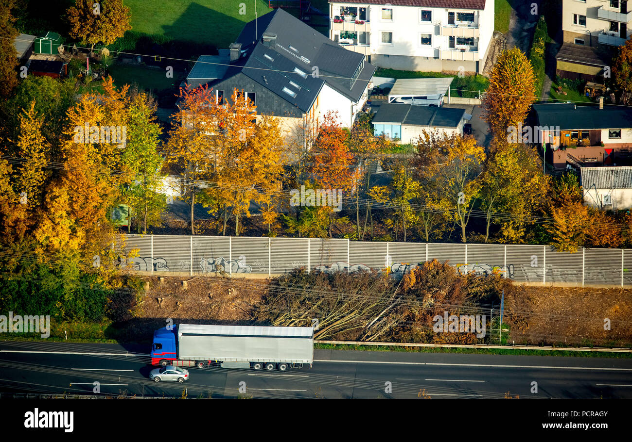Mur antibruit avec arbres abattus lors de la conférence de règlement 'Am Schöttelse» (Bochum), Witten, Ruhr, Rhénanie du Nord-Westphalie, Allemagne Banque D'Images