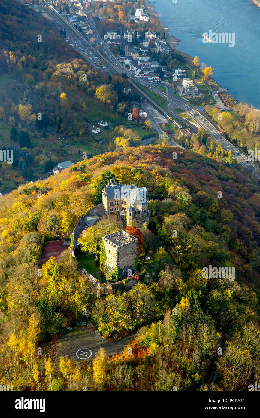 Château de Reineck Vallée du Rhin, Rhin, les feuilles d'automne, Bad Breisig, Ahrweiler, Rhénanie-Palatinat, Allemagne Banque D'Images